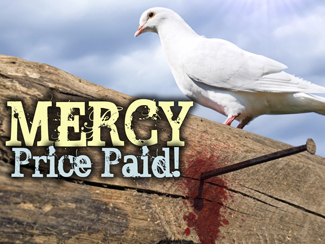 Mercy: Price Paid!