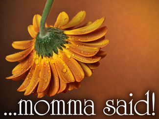 Momma Said!